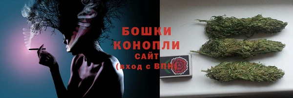 прущий лед Абаза
