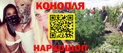гашик Керчь