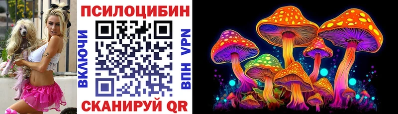 купить Карабулак Галлюциногенные грибы MAGIC MUSHROOMS