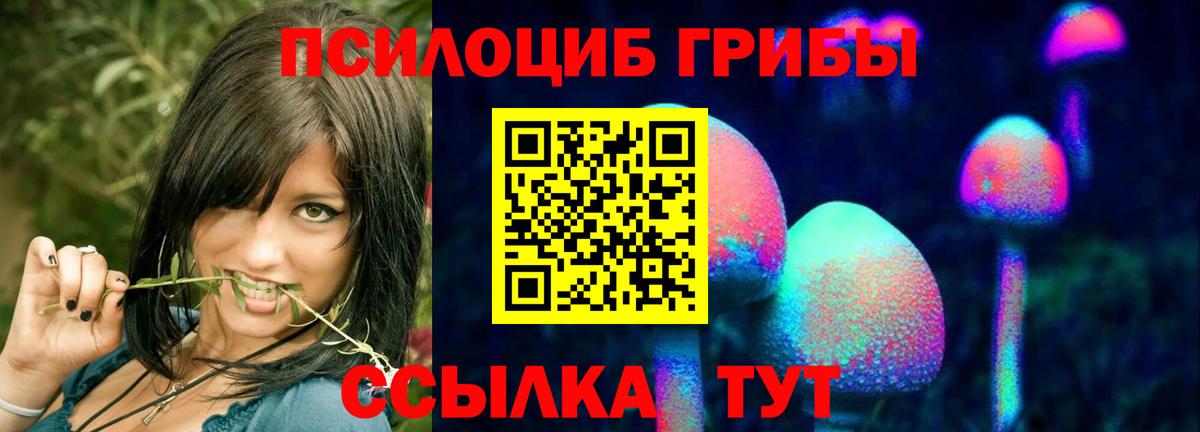 Галлюциногенные грибы Psilocybe  Вход с VPN  Карабулак  где купить наркотик  Галлюциногенные грибы GOLDEN TEACHER 
